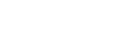 Cyntin Partners logo